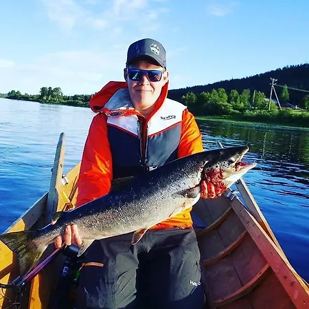 Arctic Finland